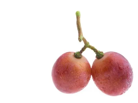 Red grape isolated on white Stock Photos