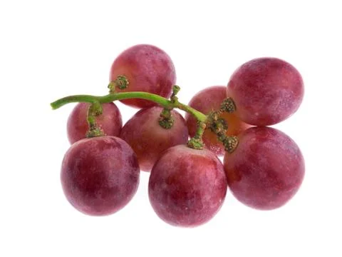 Red grape isolated on white Stock Photos