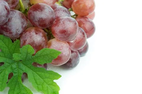 Red grape isolated on white Stock Photos