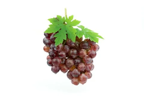 Red grape isolated on white Stock Photos