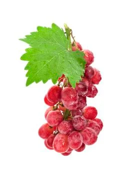 Red grape with leaf isolated on white background Stock Photos