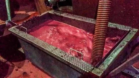 Red grape must processing during winemaking in rioja Stock Photos