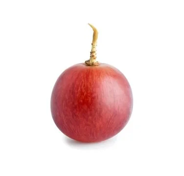 Red grape Foto stock