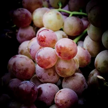 Red grape Stock Photos