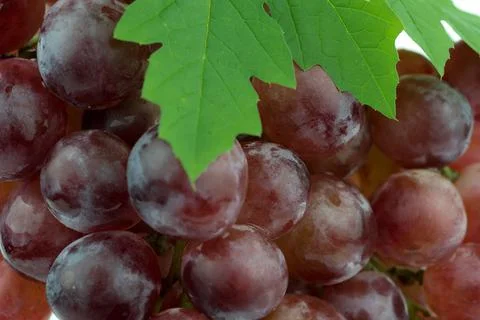 Red grape Stock Photos
