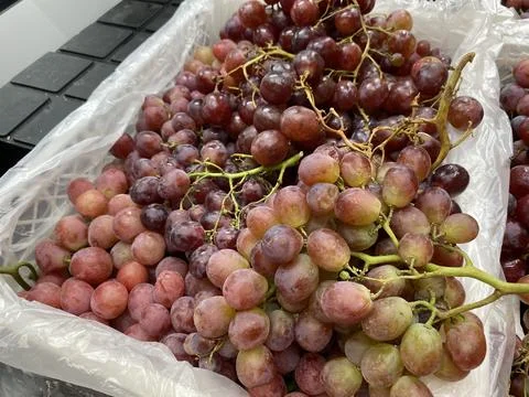 Red Grape in a supermarket  in Close-up. Stock Photos