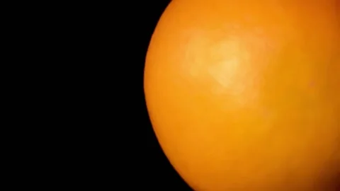 Red grapefruit halves stuffed with elite tobacco for luxury hookah Video stock 150061697