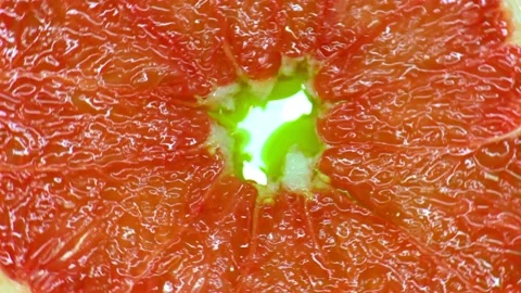 Red grapefruit rotates on a green background copy space 動画素材 135331654