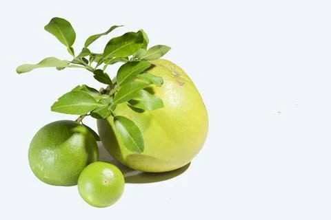Red grapefruit section with leaf stalk, Pomelo closeup Stock Photos