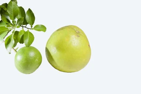 Red grapefruit section with leaf stalk, Pomelo closeup Stock Photos