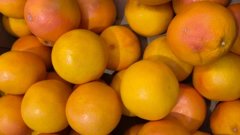 Red grapefruits in cardboard crates Stock Footage 284775951