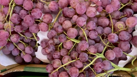Red grapes in cardboard crates Stock Footage 301397483