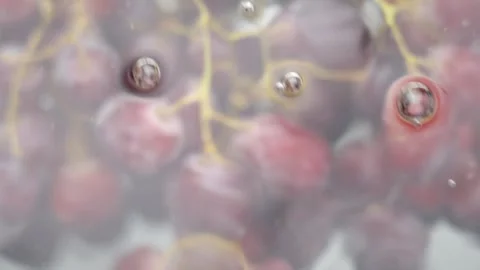 Red grapes in clear water close-up Stock Footage 318059300