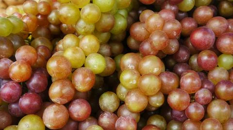 Red Grapes Close Up Stock Photos