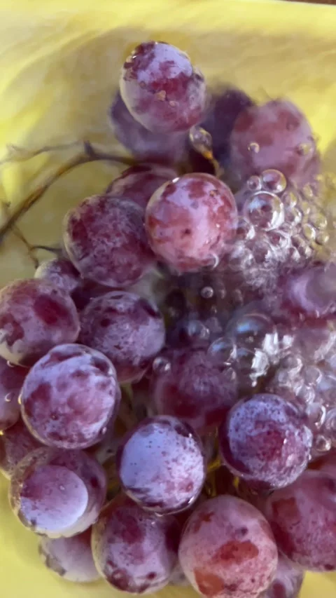 Red Grapes in Cold Water with Bubbles Macro Stock Footage 345153113