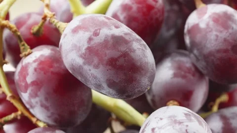 Red grapes extreme macro close up with a rotating camera motion stock footage Vídeo Stock 328701363