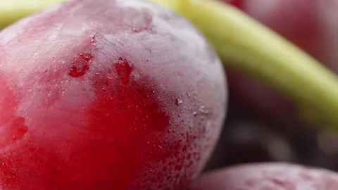 Red grapes extreme macro close up with a rotating camera motion stock footage Stock Footage 328702438