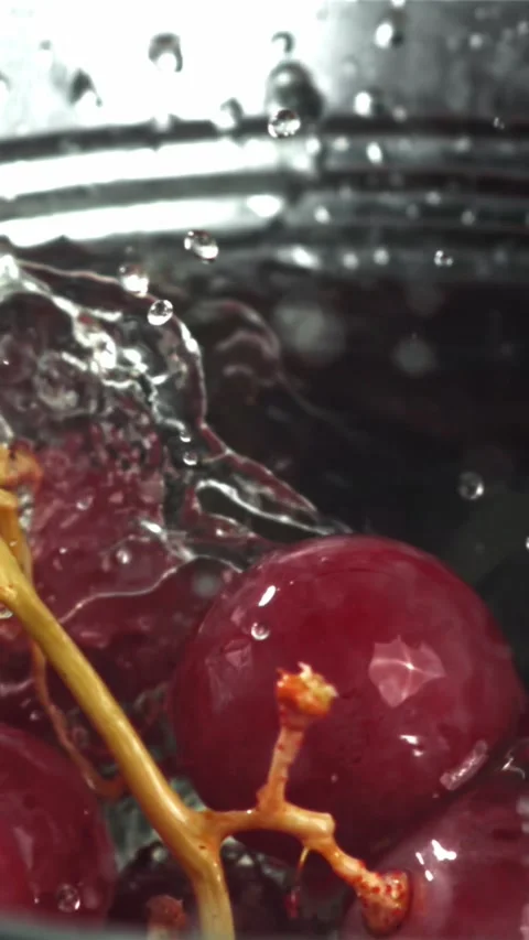 Red grapes fall into a bucket of water. Filmed on a high-speed camera at 1000 Stock Footage 335307958