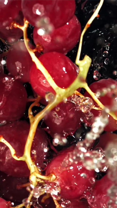 Red grapes fall with splashes into the water. Top view. Filmed on a high-speed Stock Footage 335313422