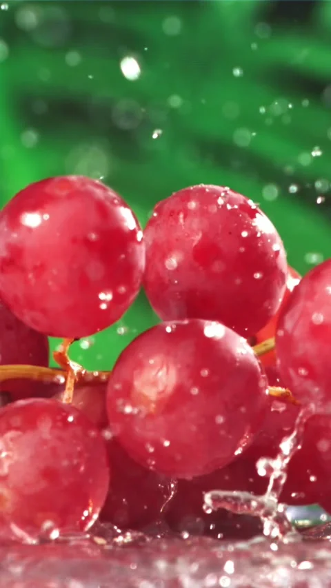 Red grapes fall with splashes on a wet table. Filmed on a high-speed camera at Stock Footage 335321696