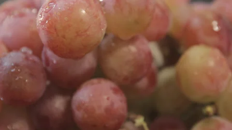 Red grapes Stock Footage 38418302