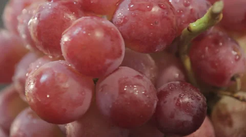 Red grapes Stock Footage 38418519