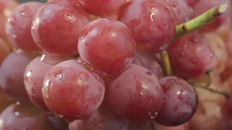 Red grapes Video stock 38418943