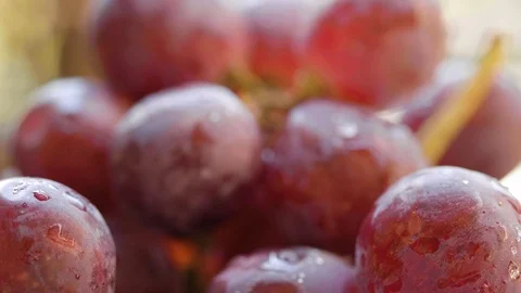 Red Grapes Fruit Close Up Stock-Footage 108541459