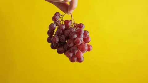Red Grapes Held By Hand Video stock 95210252
