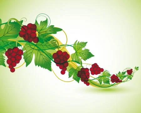 Red grapes Stock Illustration