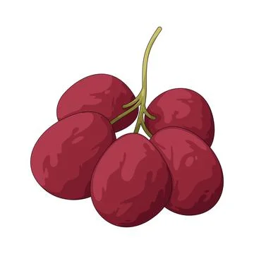 Red grapes illustration Stock Illustration
