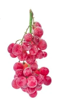 Red grapes isolated on white background Stock Photos