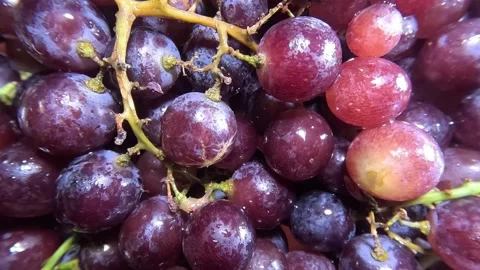 Red Grapes - Macro Shot Stock Footage 284502250