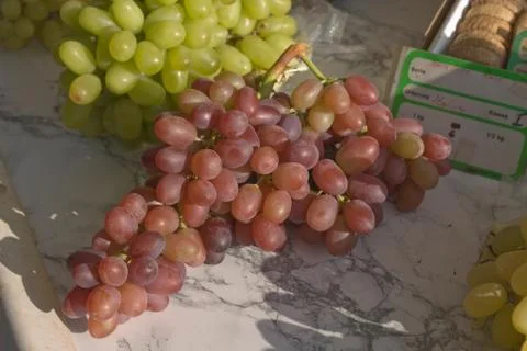 Red grapes Stock Photos