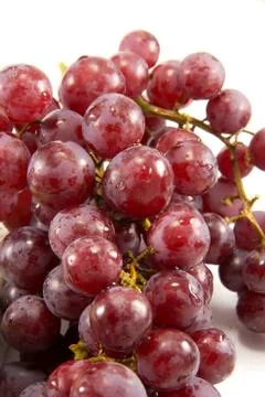 Red grapes Stock Photos