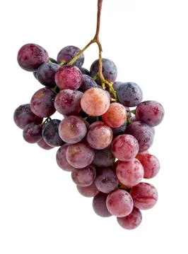 Red grapes Fotos Stock