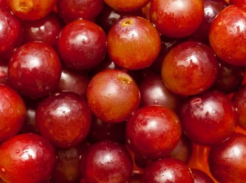Red grapes Stock Photos