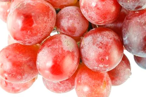 Red grapes Stock Photos