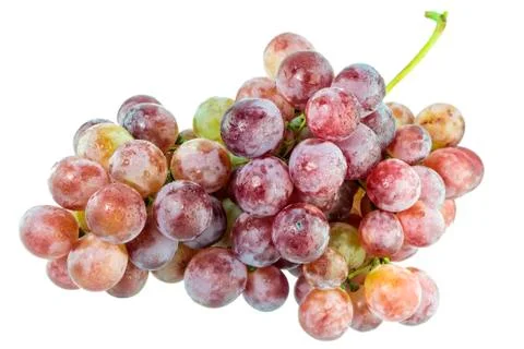 Red grapes Stock Photos