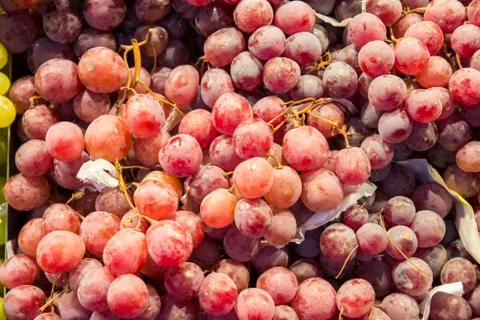 Red grapes 스톡 사진