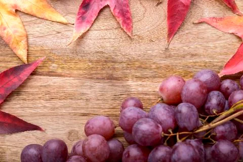 Red grapes Stock Photos