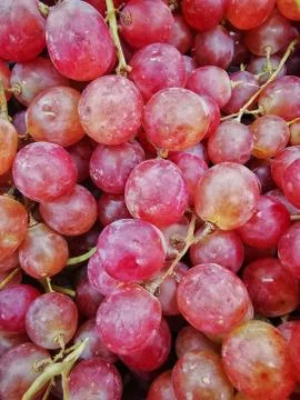 RED GRAPES Stock Photos