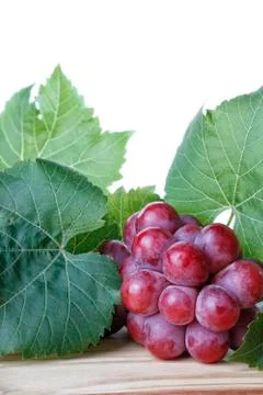 Red Grapes Stock Photos