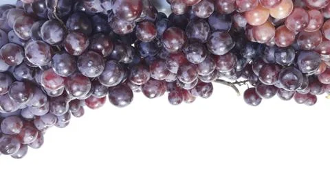 Red grapes Stock Photos