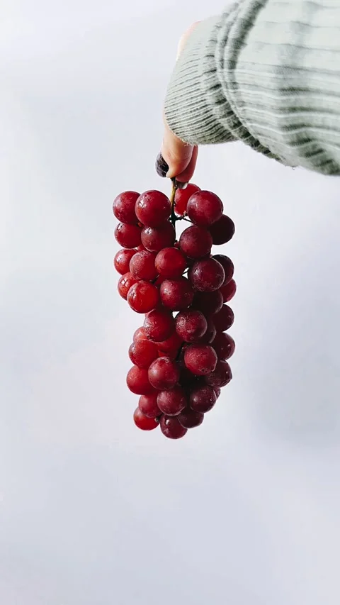 Red grapes, plain, minimal, white background, studio shot, Stock Footage 278490139