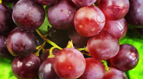 Red grapes rotates Stock Footage 39842341