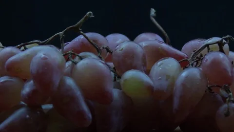 Red grapes rotation 動画素材 80797586