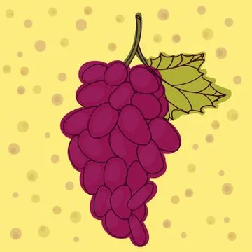 Red grapes vector illustration. Stock Illustration