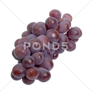 Red grapes on a white background Stock Photos