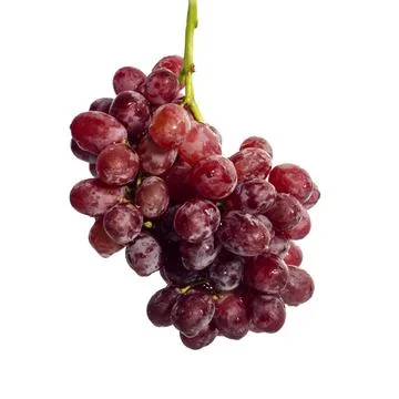 Red grapes, white background Stock Photos